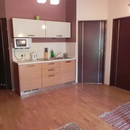 Apartament Brandy Radowid Zakopane Pokój zdjęcie