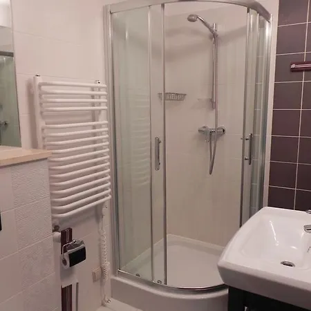 Apartament Brandy Radowid Zakopane Pokój zdjęcie
