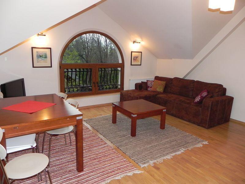 Apartament Brandy Radowid *